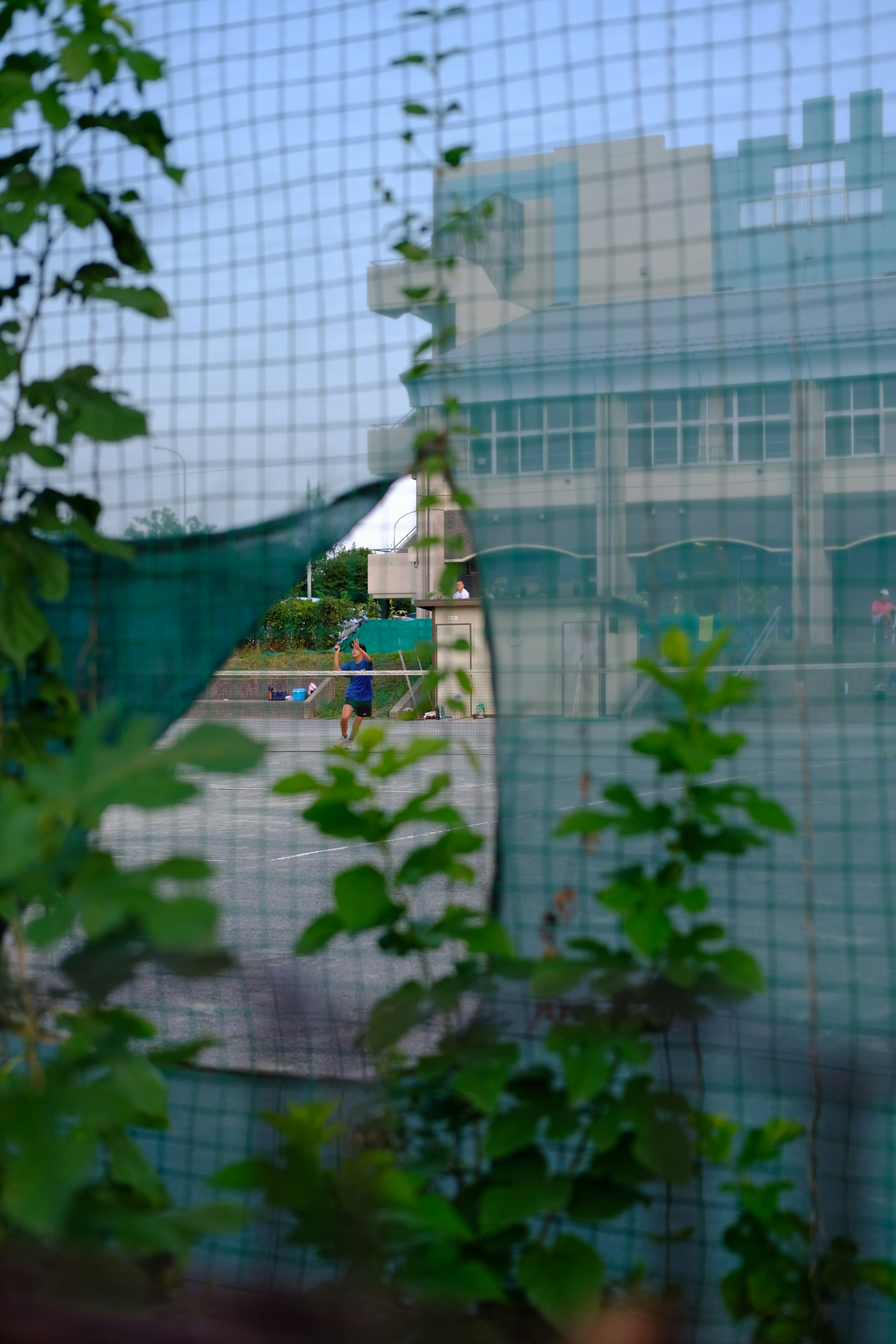 Screen Enclosures in Riverview, FL: Benefits of Adding a Screen Room or Pool Cage